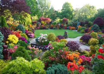 Top 10 Garden Decoration Ideas