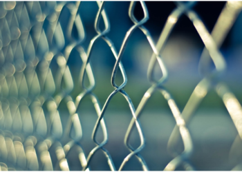 Why Not Use High Tech Devices for Border Security?