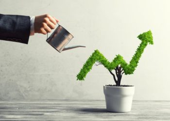 How to Take Your Business to the Next Level