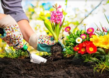 4 Ways to Make Your Garden Easier to Maintain