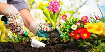 4 Ways to Make Your Garden Easier to Maintain