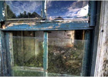 Wood Rot Prevention Techniques