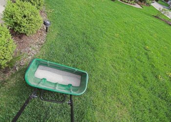 Determining the Prime Time for Lawn Fertilization