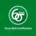 Green Belt Certification – All You Need to Know About It
