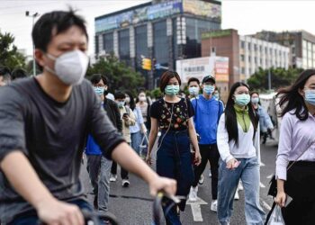 Is a Road Trip The Way to Beat Covid Restrictions?