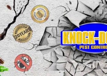 Dealing with Pests on Commercial Property