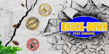 Dealing with Pests on Commercial Property