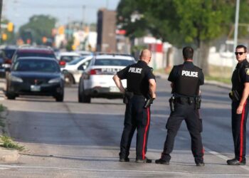 What city has the most murders in Canada?