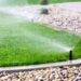 How to Correct These 5 Common Lawn Problems 