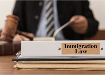 Everything You Need To Know About N400 Processing Time