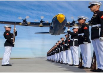 Top Seven Business Careers For Veterans