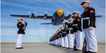 Top Seven Business Careers For Veterans