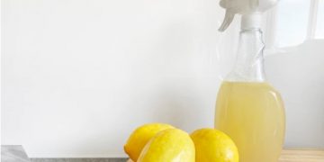 Cleaning With Zero Chemicals: How To Dodge Indoor Air Pollution And Maintain A Spotless Home