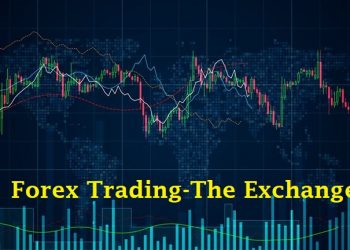 Forex Trading-The Exchange