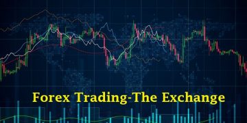 Forex Trading-The Exchange