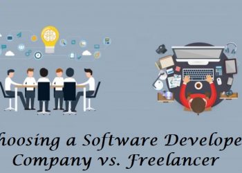 Choosing a Software Developer: Company vs. Freelancer