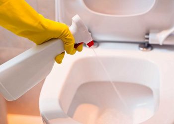 Toilet Bowl Cleaner: Every Home’s Best Friend