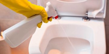 Toilet Bowl Cleaner: Every Home’s Best Friend