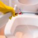 Toilet Bowl Cleaner: Every Home’s Best Friend