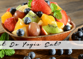 What Should Yogis Eat?