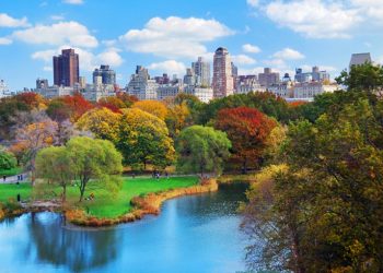 What is React Native Developer Salary and Rate?