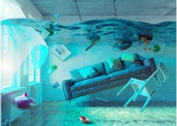 How to Find the Right Flood Damage Restoration Company