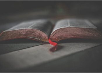 The Best Church Administration Software for 2021 (Free and Paid)