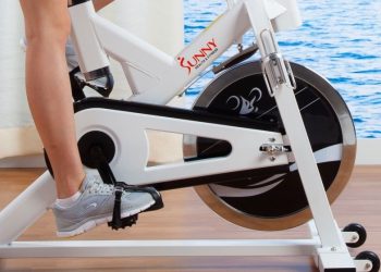 Best Spin Bike under 500 Dollars