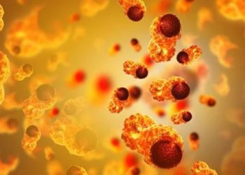 Top 6 Causes of Cancer