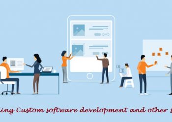 Providing Custom software development and other services