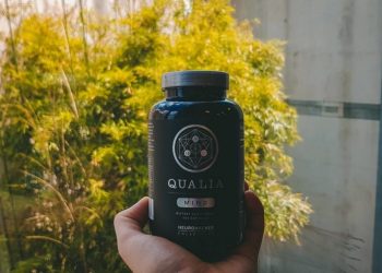 The fantastic ways to improve cognitive function through Qualia Mind