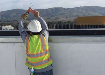 How to install a bird spike?