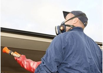 Why You Must Hire Professional Pest Control Services& What to Expect