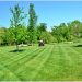 How To Properly Aerate And Overseed Your Lawn