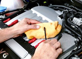 How much an oil change should cost?