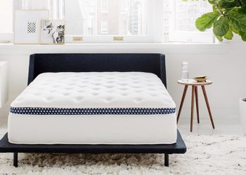 How to Select the Exact Size for A Sofa Mattress Topper?