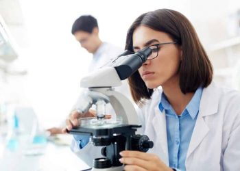 If You Love Science Why Not to Go to PhD Studies?