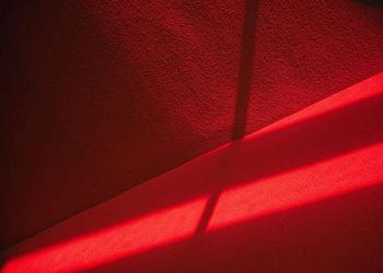 How Much Does Carpet Removal Cost?