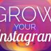 Instagram likes: the way to show that your profile is as successful as you want it to be