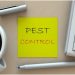 Call Pest Control! 5 Warning Signs of an Ant Infestation