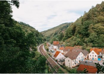 The Need for Landscape Maintenance in a Retirement Village