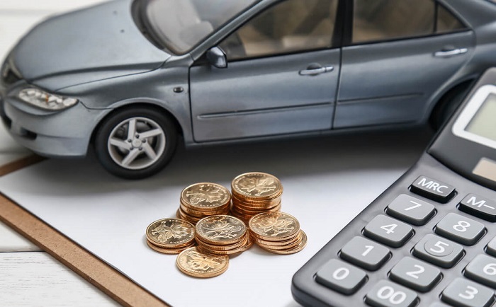 How can vehicle owners avail auto insurance in Ottawa?