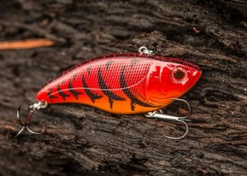 How to Use Lipless Crankbait