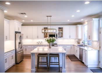 4 Sure Signs of Termite Infestation