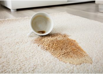 4 Quick Tricks to Deep Clean Your Carpet (the Right Way!)