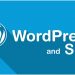 What are the Tactics Followed by WordPress SEO Agency | An Ultimate Comprehensive Guide