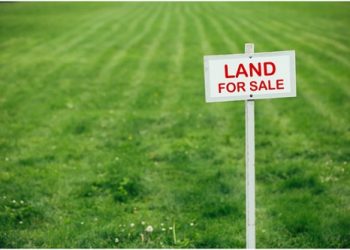 4 Exciting Benefits of Buying a Lot of Land