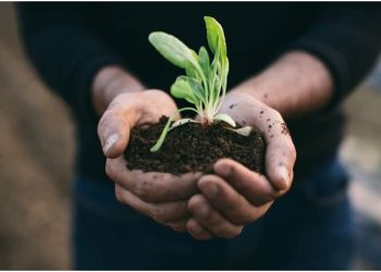 Sustainable Living: The Future of Australian Housing