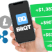 BitQT: All You Should Know