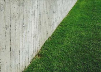 The Benefits of Installing a Wooden Fence